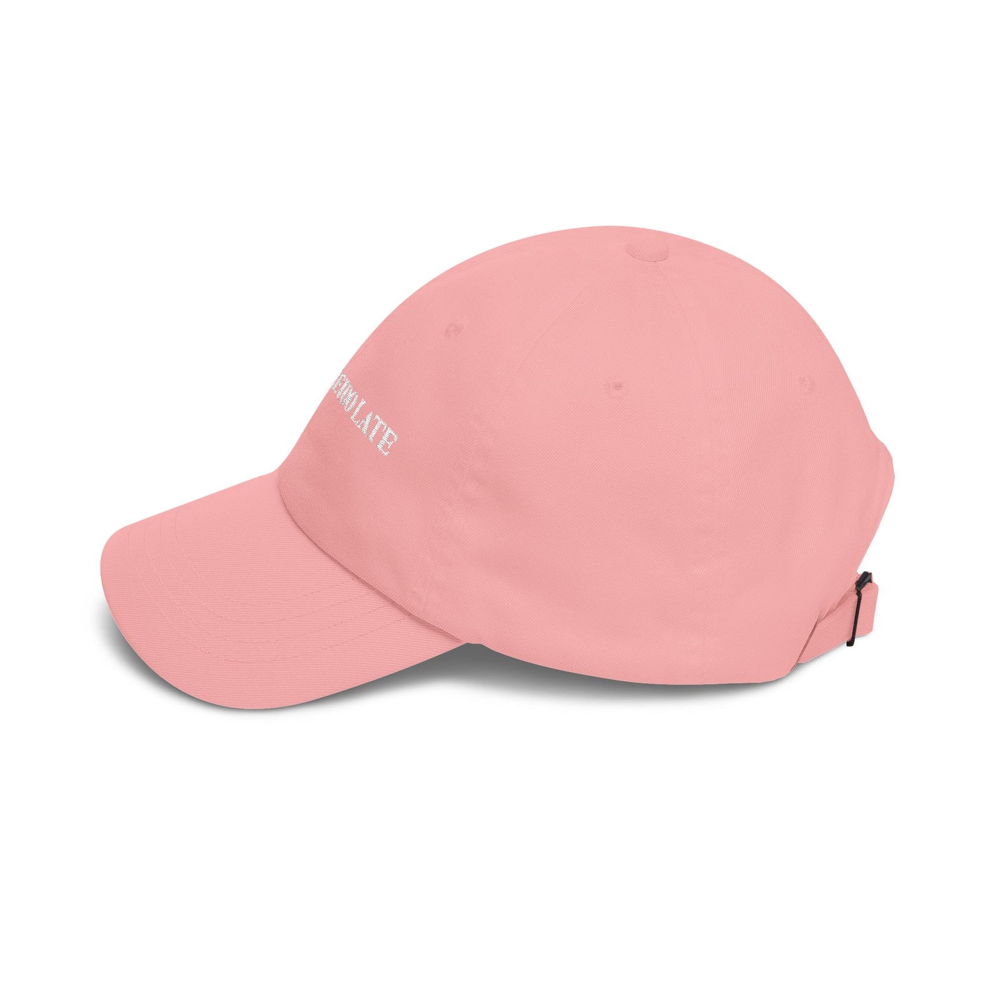 "Too Little Too Late" Embroidered Baseball Hat